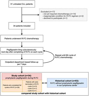 Effectiveness of pegfilgrastim prophylaxis in preventing febrile neutropenia during R-FC chemoimmunotherapy for chronic lymphocytic leukemia: A multicenter prospective phase II study
